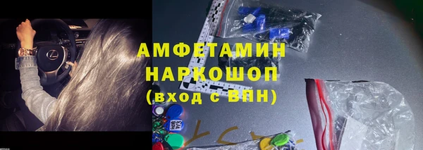 шишки Алексин