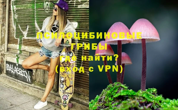 ECSTASY Нефтекумск