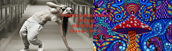 шишки Алексин