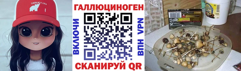 сколько стоит  МЕГА tor  Псилоцибиновые грибы ЛСД  Севастополь 